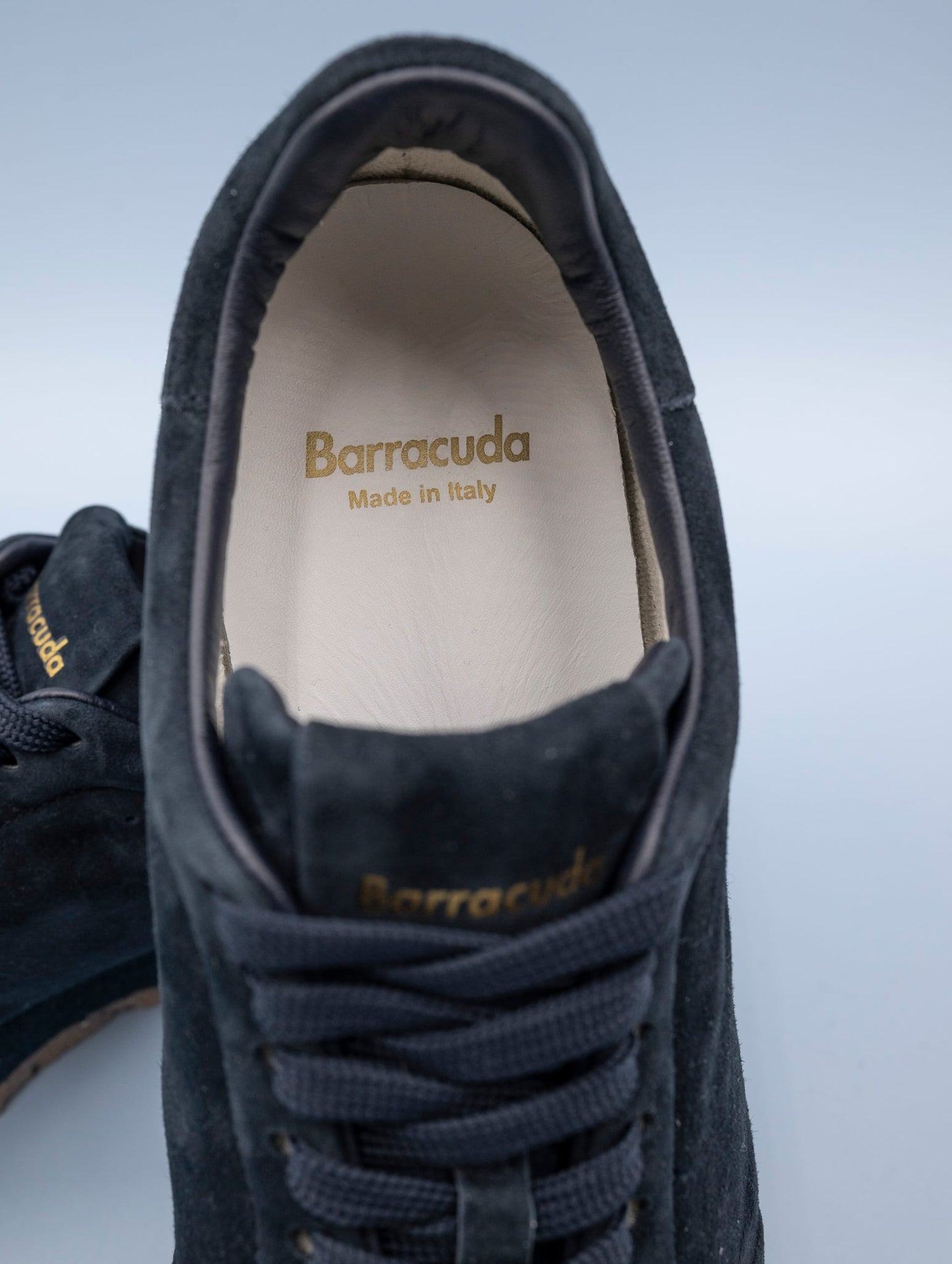 Sneakers Vintage Barracuda in Suede Navy