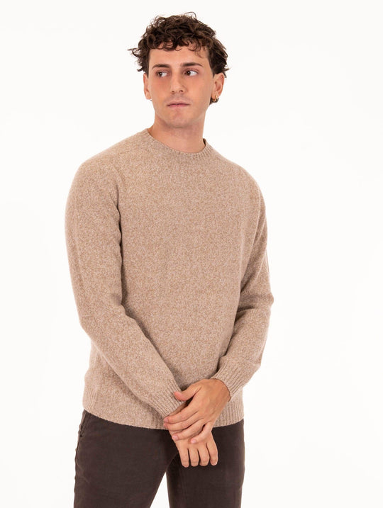 Zanieri Crew Neck in Cashmere Wool Sand Melange