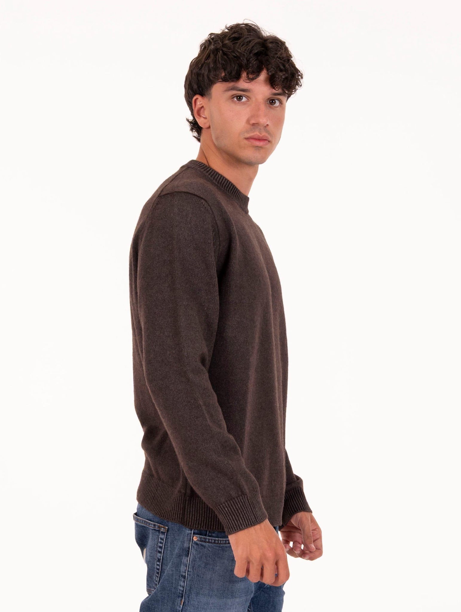 Maglia Girocollo Daniele Fiesoli in Eco Cashmere Testa di Moro 338033 Daniele Fiesoli