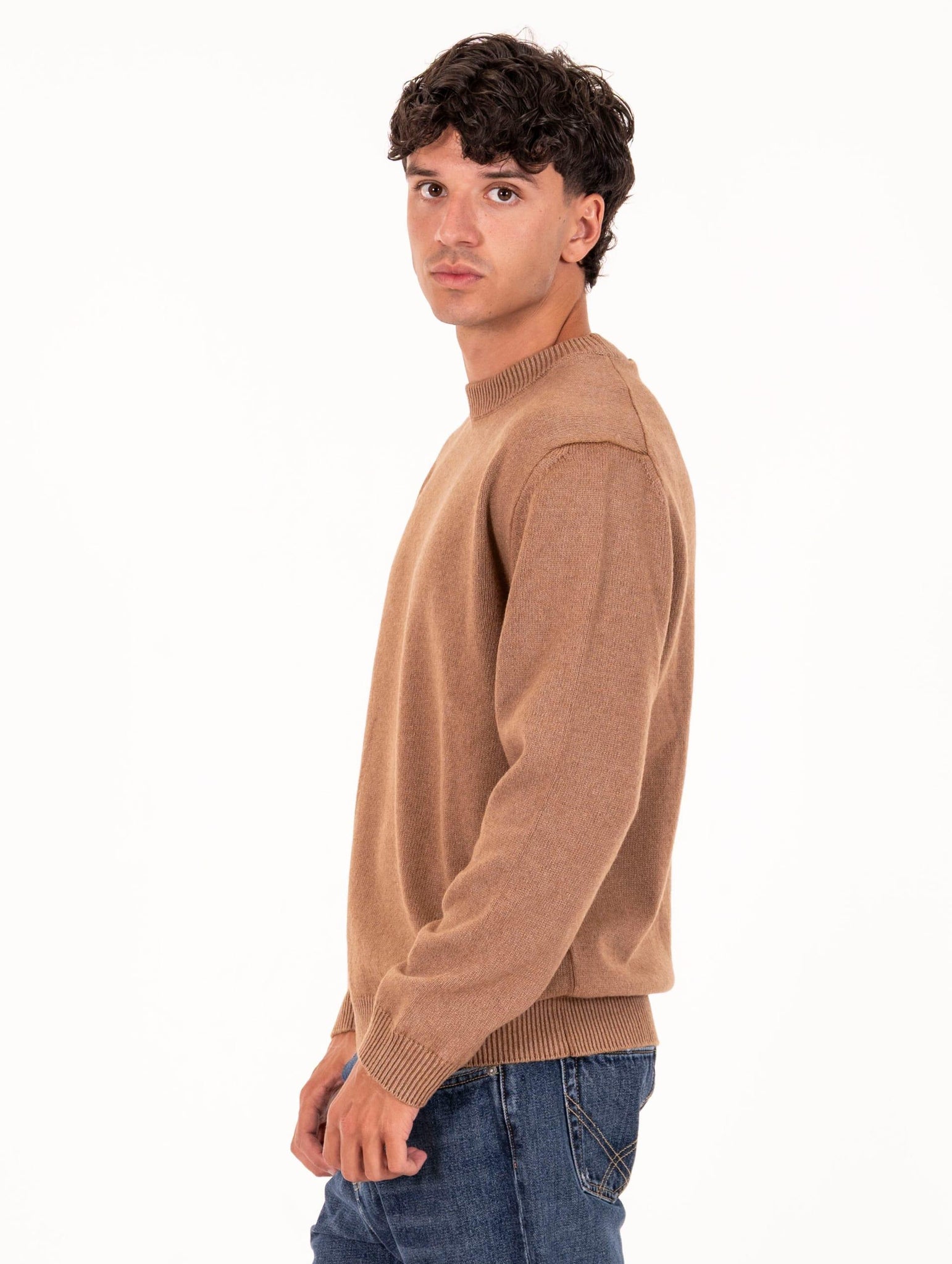 Maglia Girocollo Daniele Fiesoli in Eco Cashmere Rhum 338034 Daniele Fiesoli