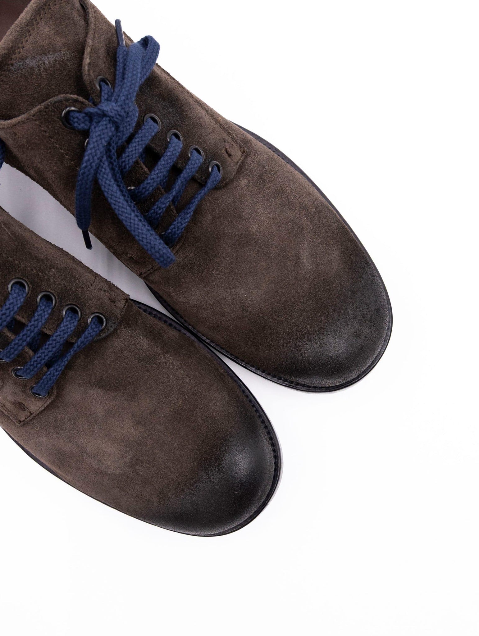 Derby Four Stroke in Suede Testa Di Moro COLLIN18 Four Stroke