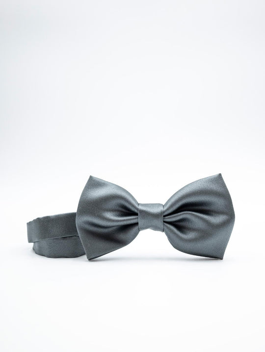 Four Stroke Bow Tie in Silk