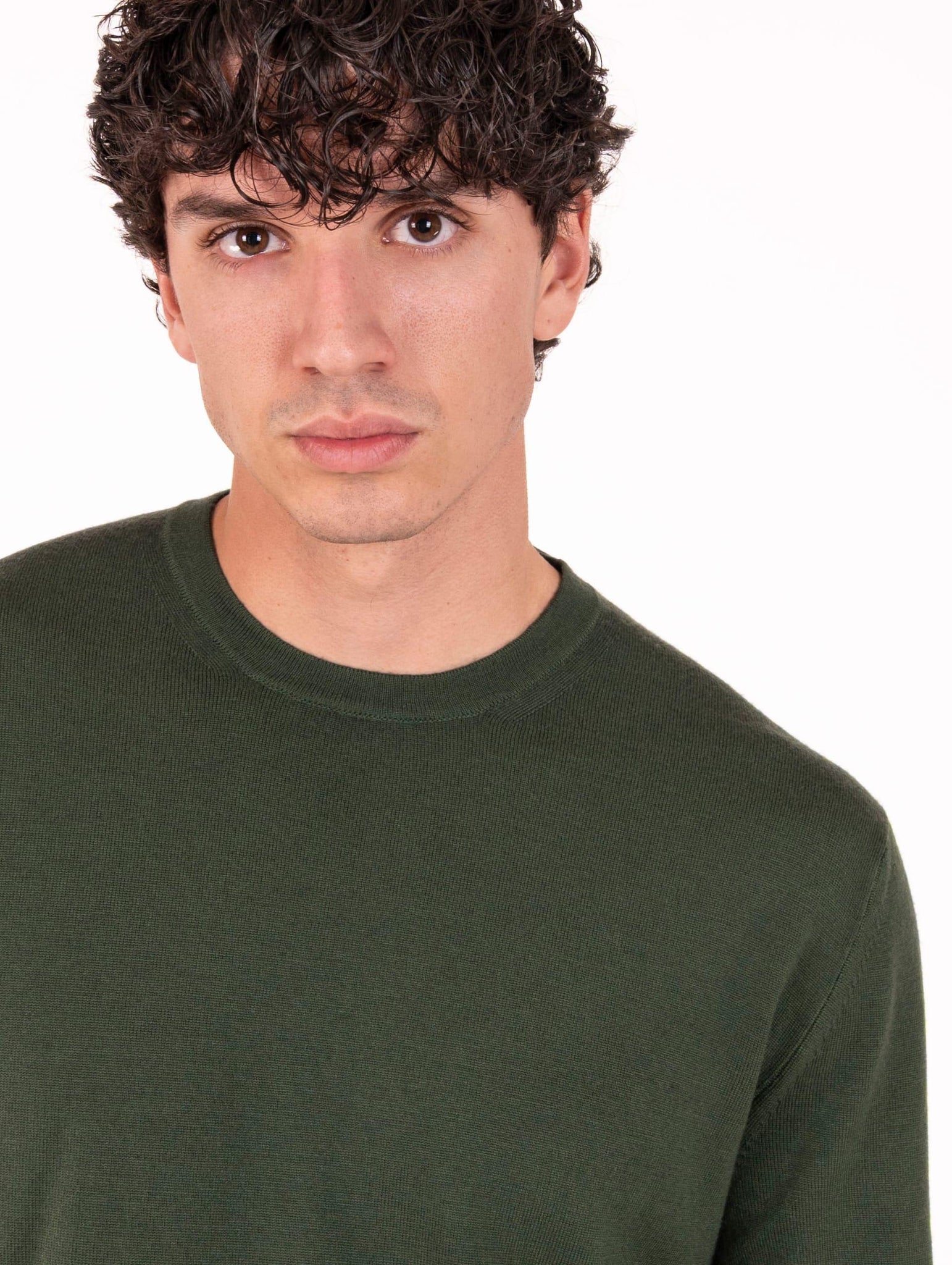 Maglia Girocollo Zanieri in Lana Merycash Fine Verde CG-GRU-2101CB2319 Zanieri