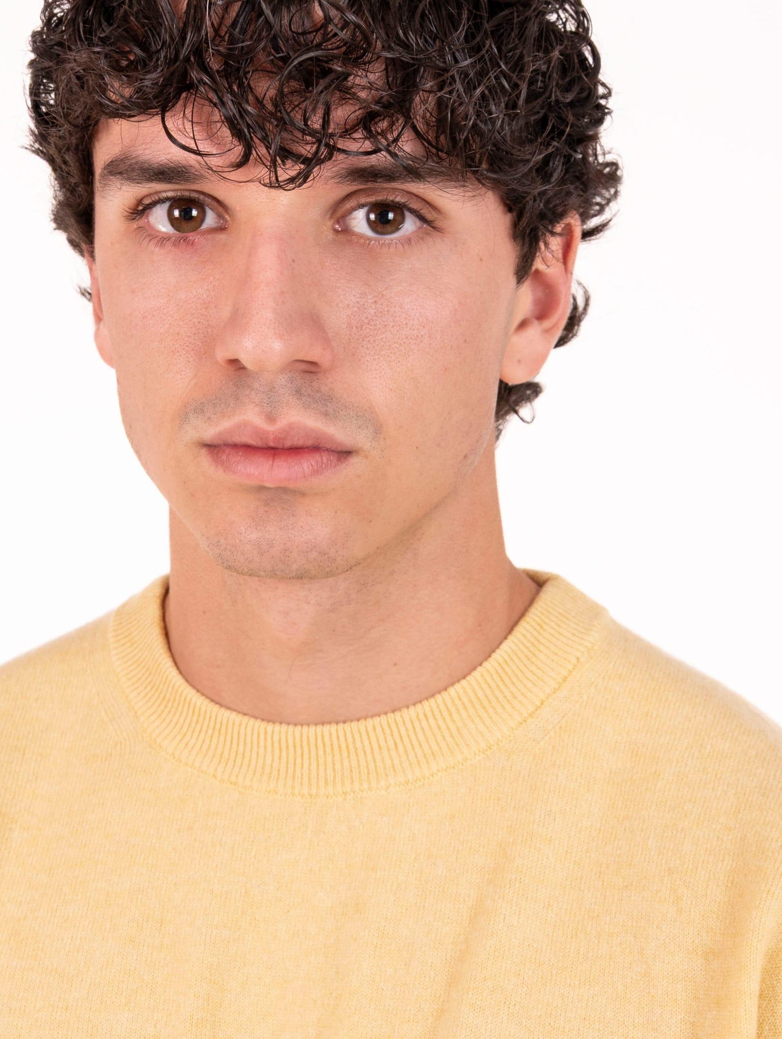 Girocollo Daniele Fiesoli in Cashmere Giallo Caltha 336004 Daniele Fiesoli