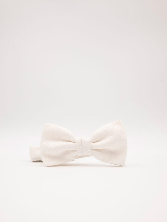 Zeremonie-Schmetterling Luigi Bianchi Mantua mit weißer Seidenstickerei