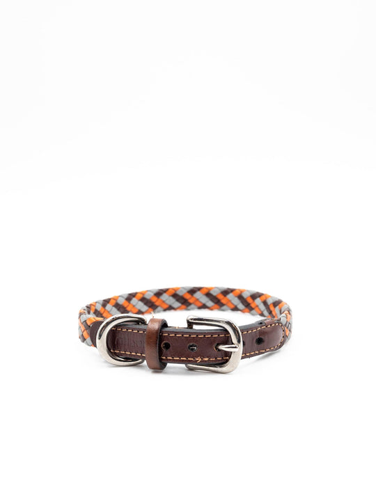 Collare Athison Piccolo in Pelle e Cuoio Arancione