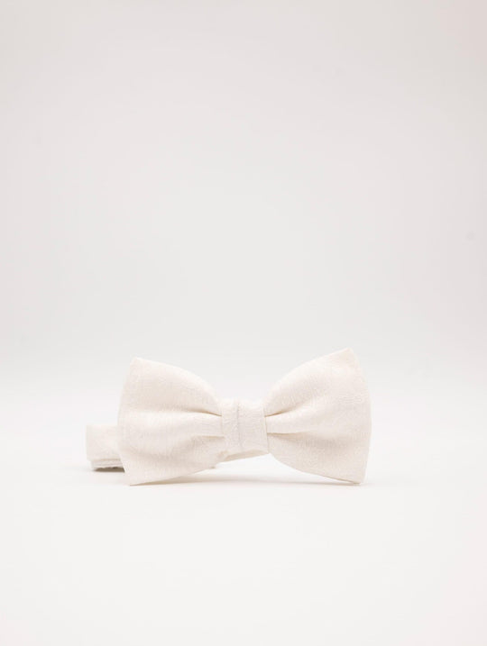 Zeremonie-Schmetterling Luigi Bianchi Mantua mit weißer Seidenstickerei