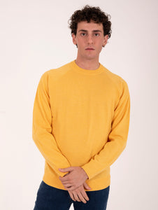 Felpa Zanieri Lambswool e Cashmere Giallo